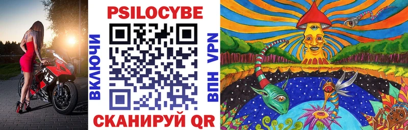 Псилоцибиновые грибы Psilocybe Нюрба